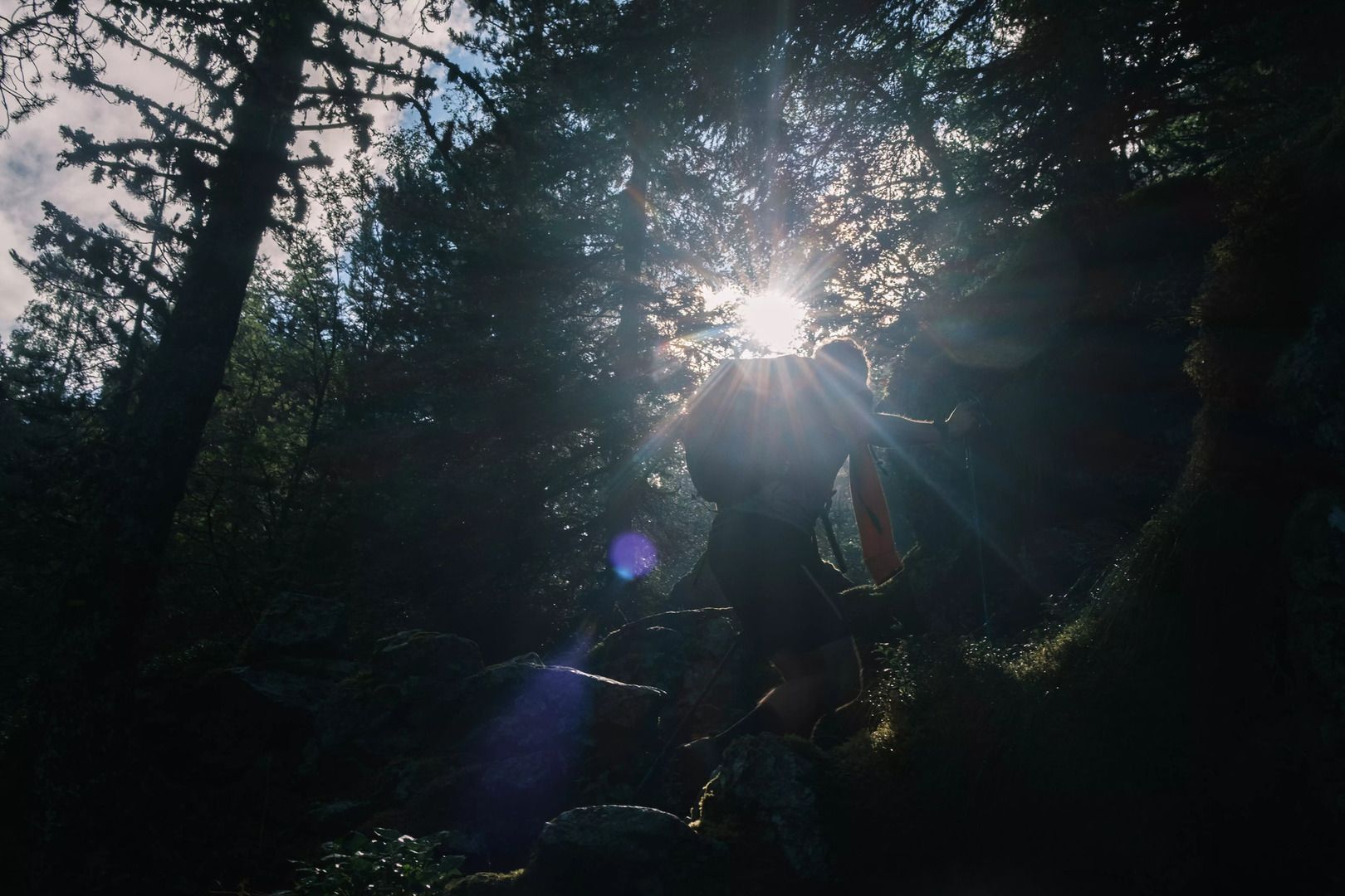 Montée en forêt au dessus de la Cascade d'Oursière en Belledonne avec le soleil qui perce 