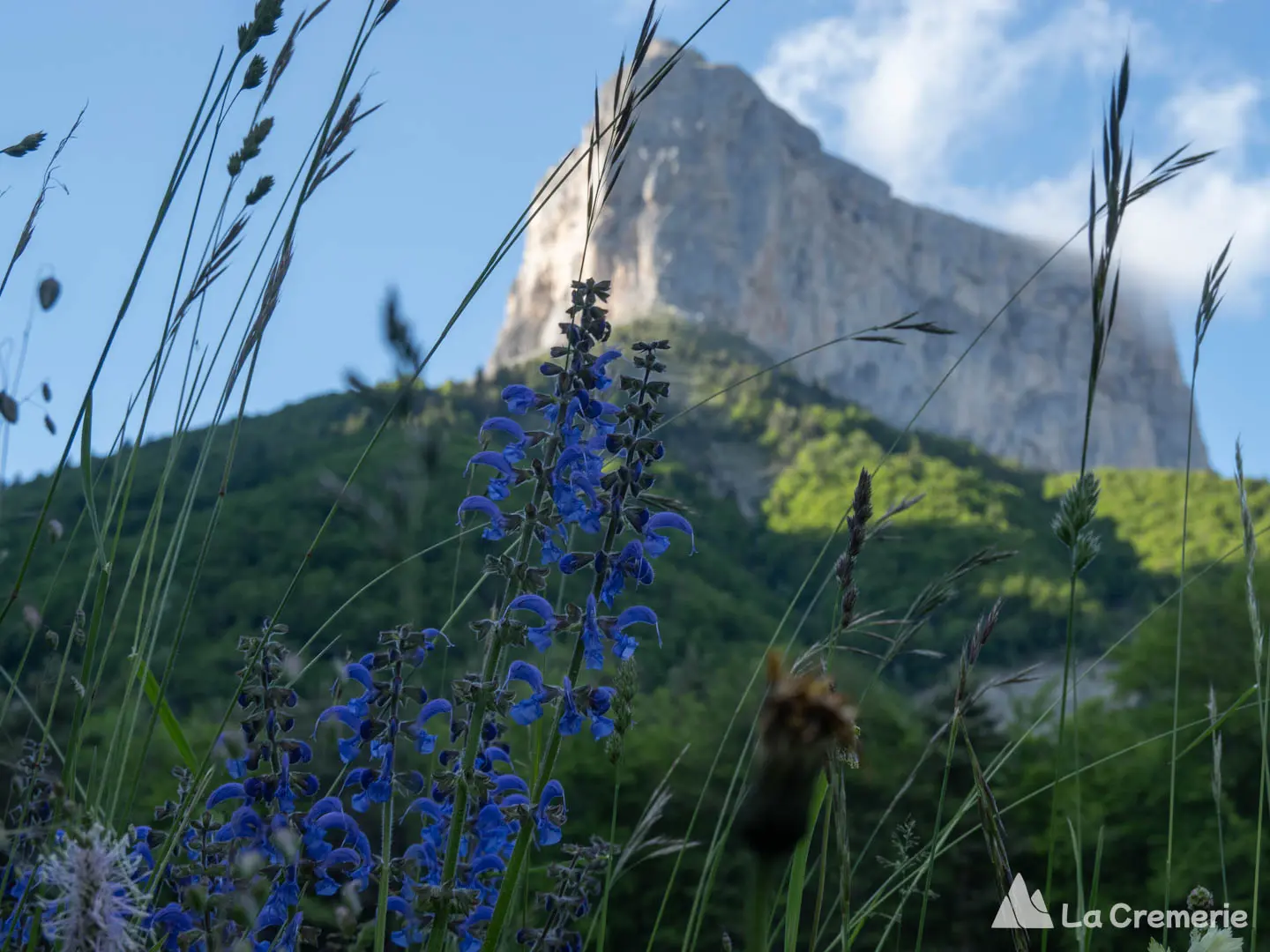 Les Diables TD+ 6a+>5c A1 P2 - Mont Aiguille