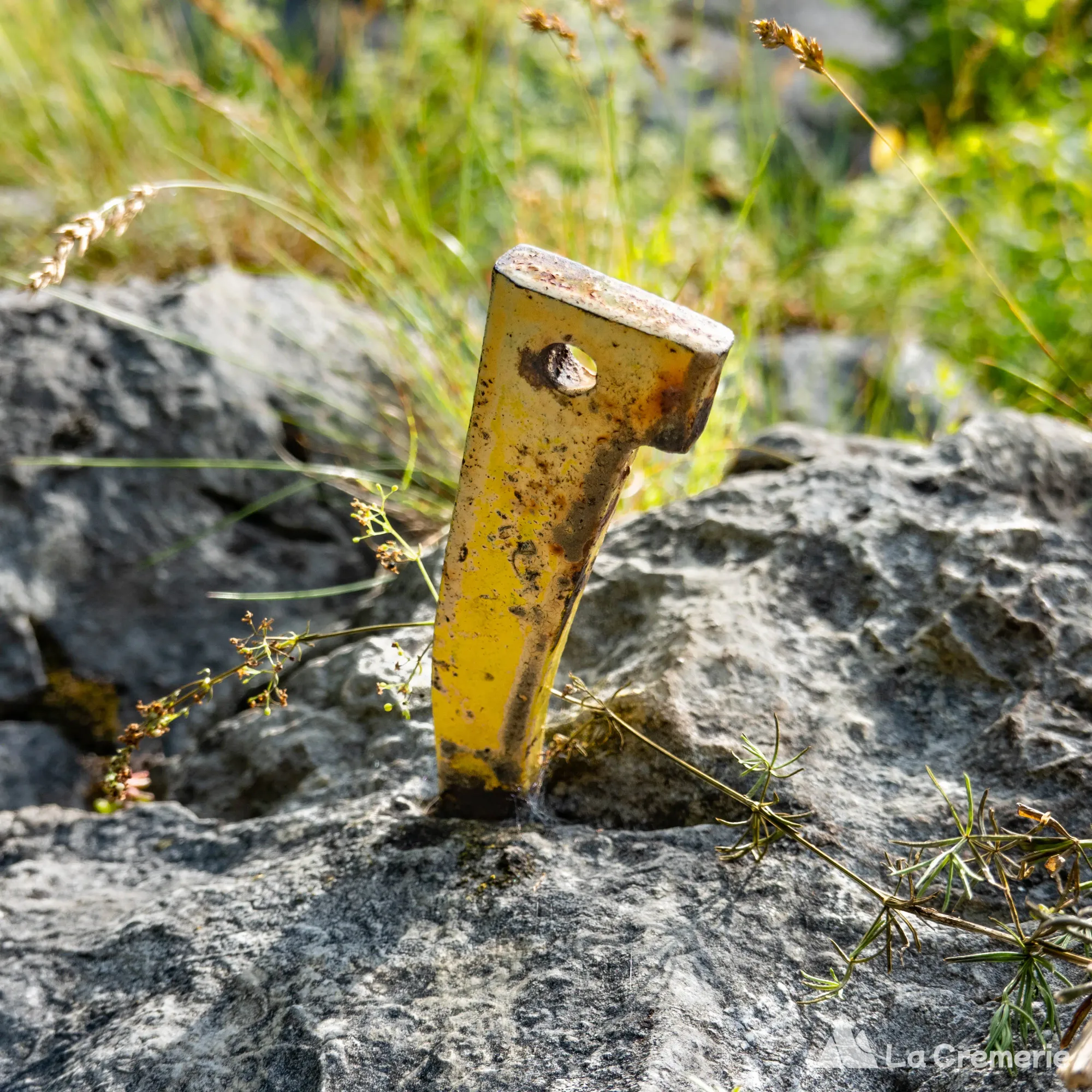 Néron par le sentier des plaques, le Grand Saut et l'arête des Ecureuils