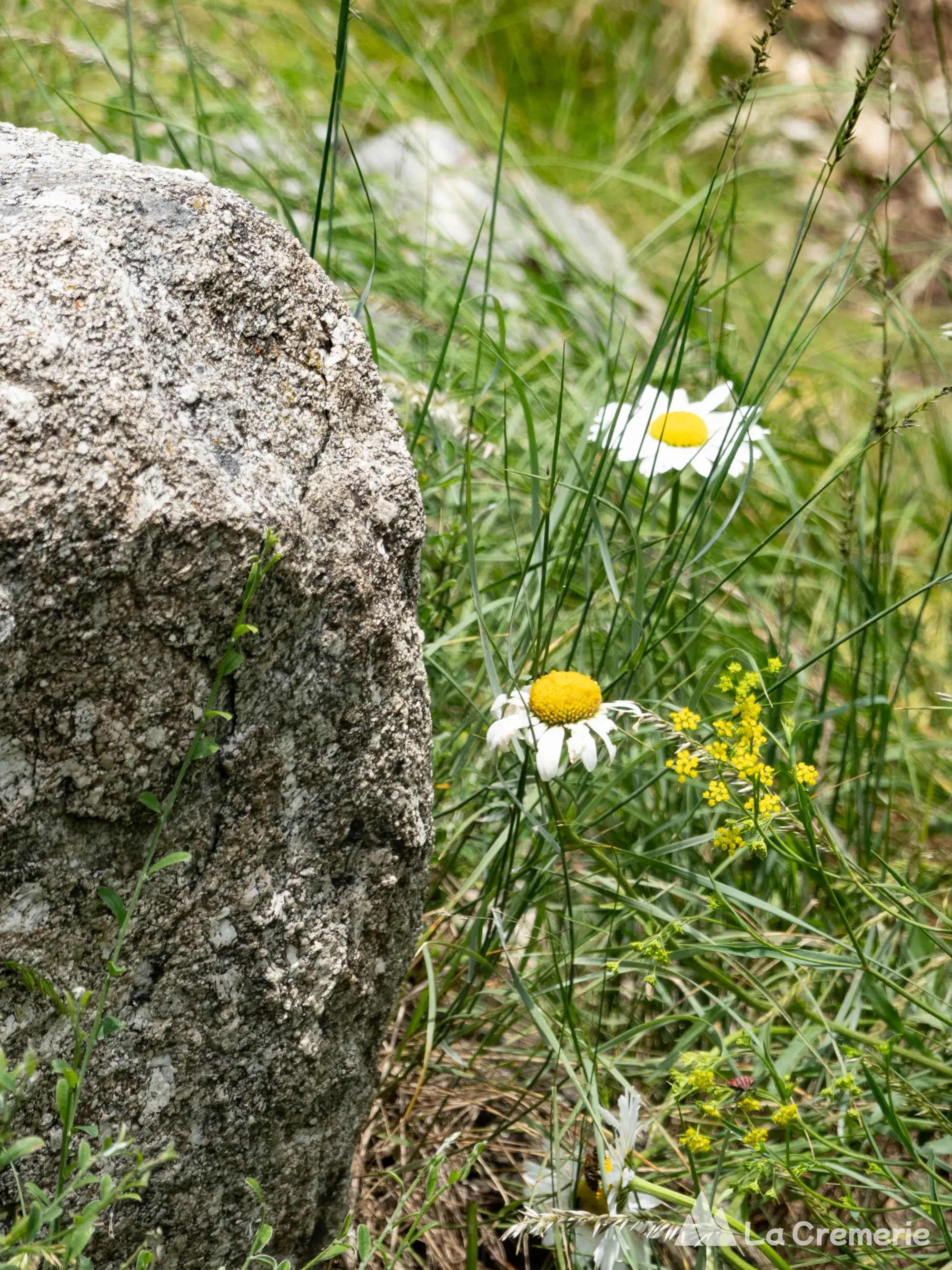 Néron par le sentier des plaques, le Grand Saut et l'arête des Ecureuils