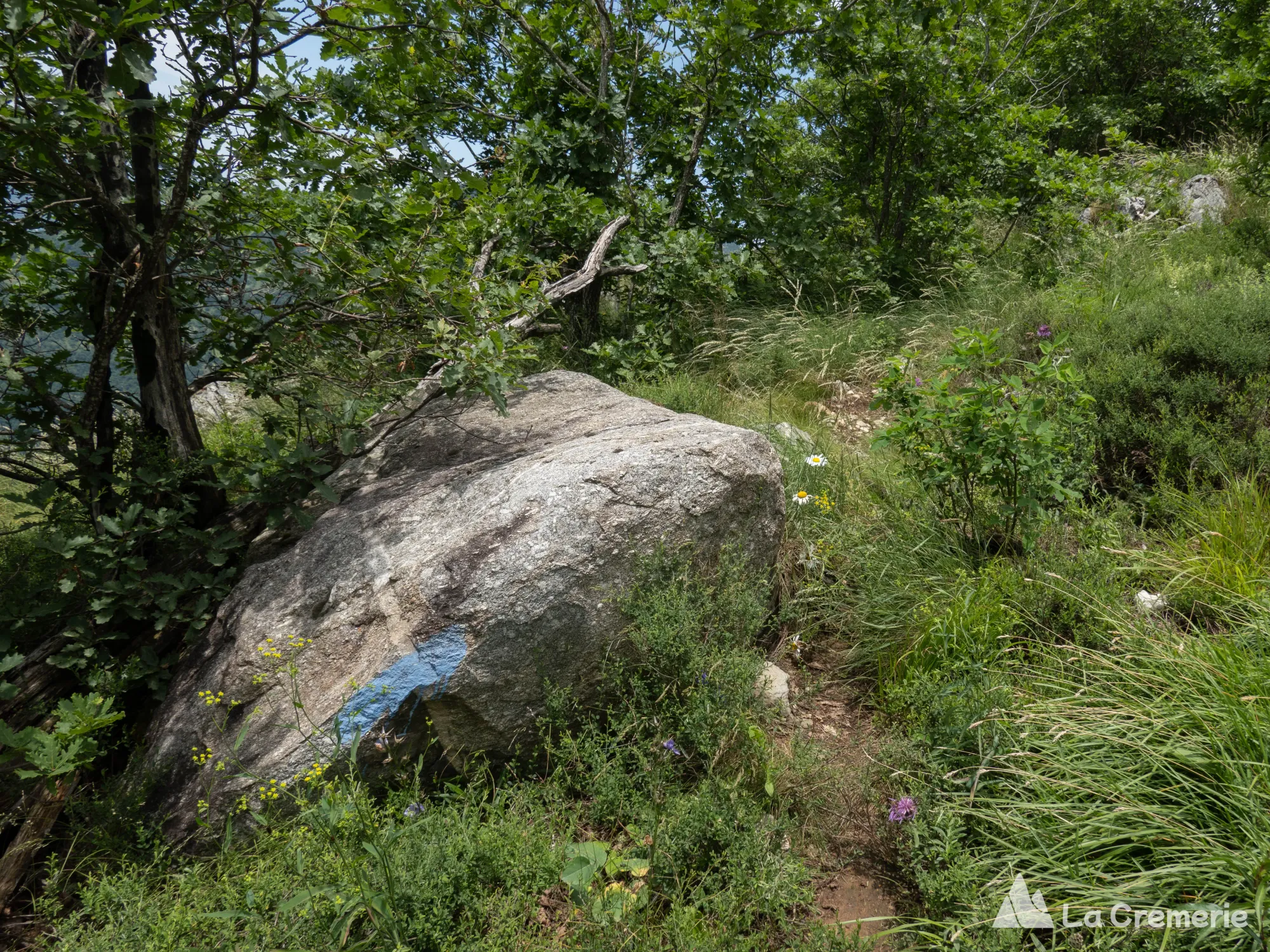 Bloc erratique de granit sur la prairie sommitale du Néron en Isère