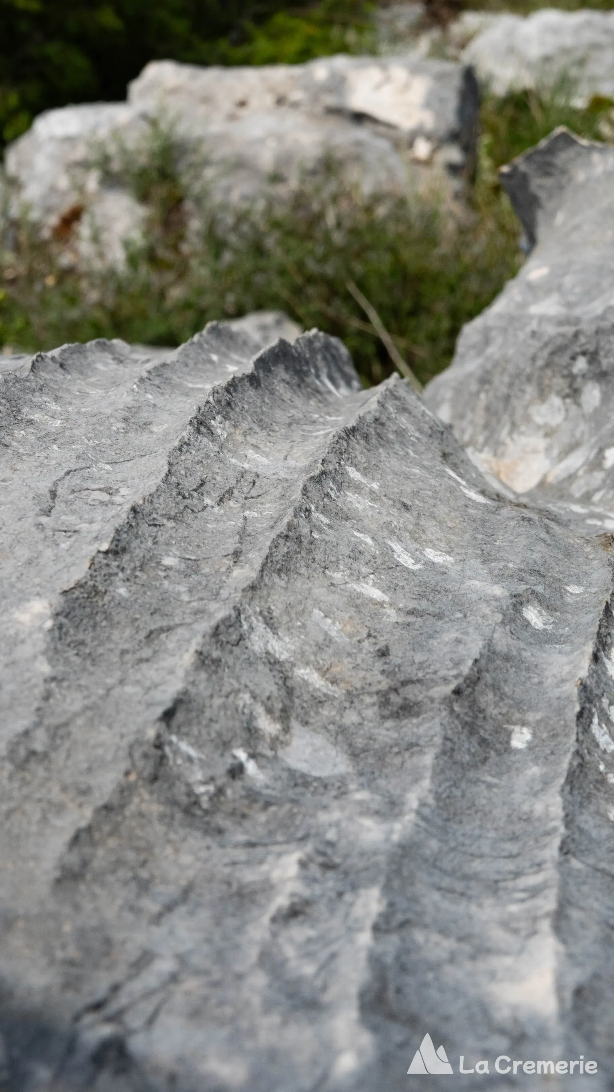 Cannelures calcaire intactes sur l'arêtes des ecureuils sur le Néron