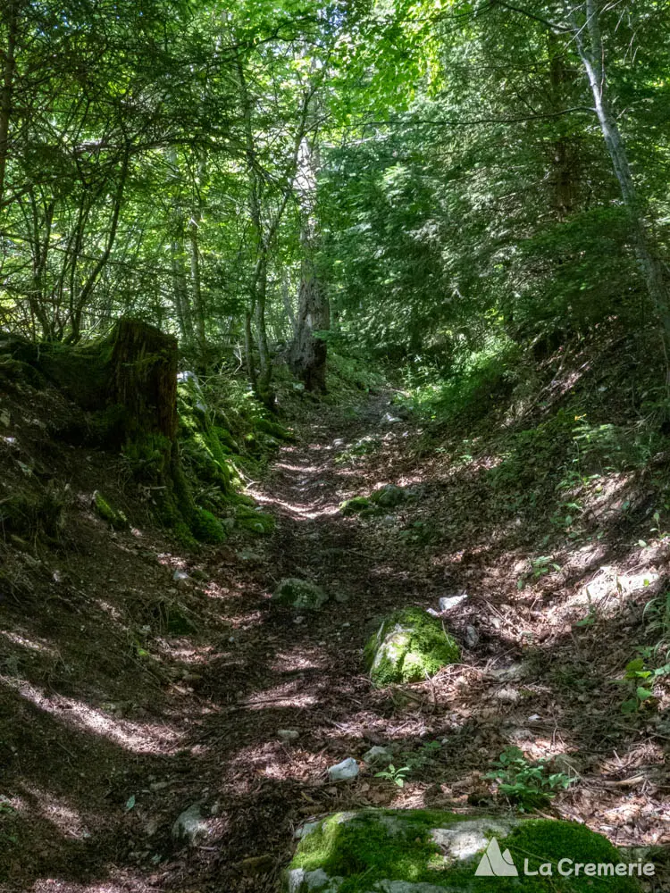 Approche des grandes voies d'escalade du Dôme de Bellefont depuis la Batie en Chartreuse