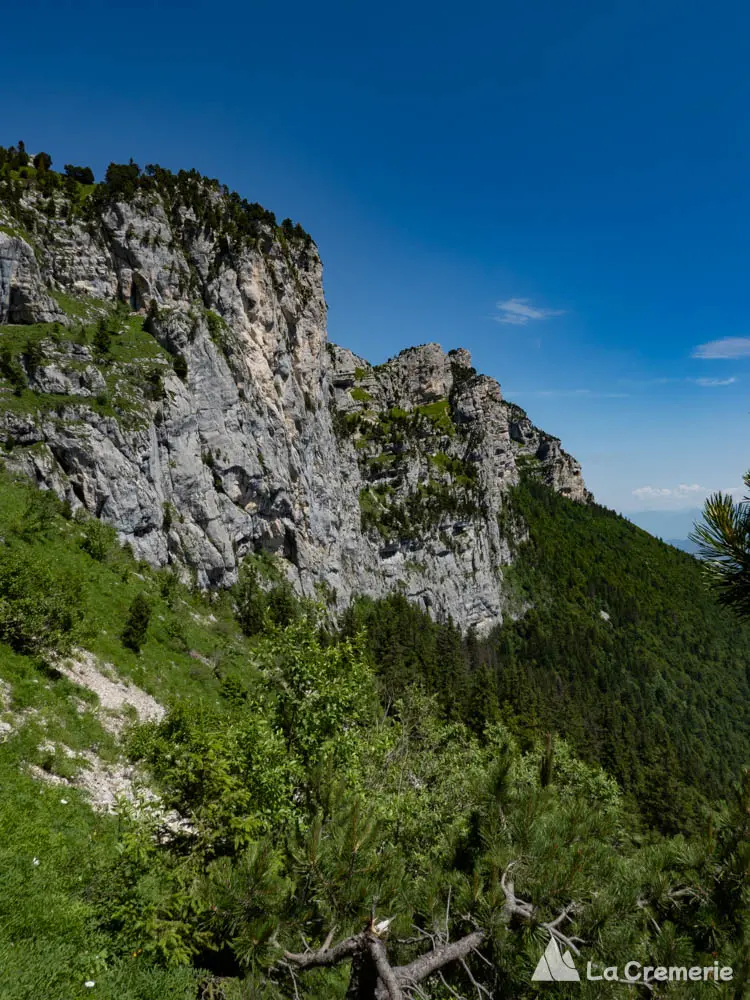 La Ribambelle ED- 7a>6b P1 - Dôme de Bellefont