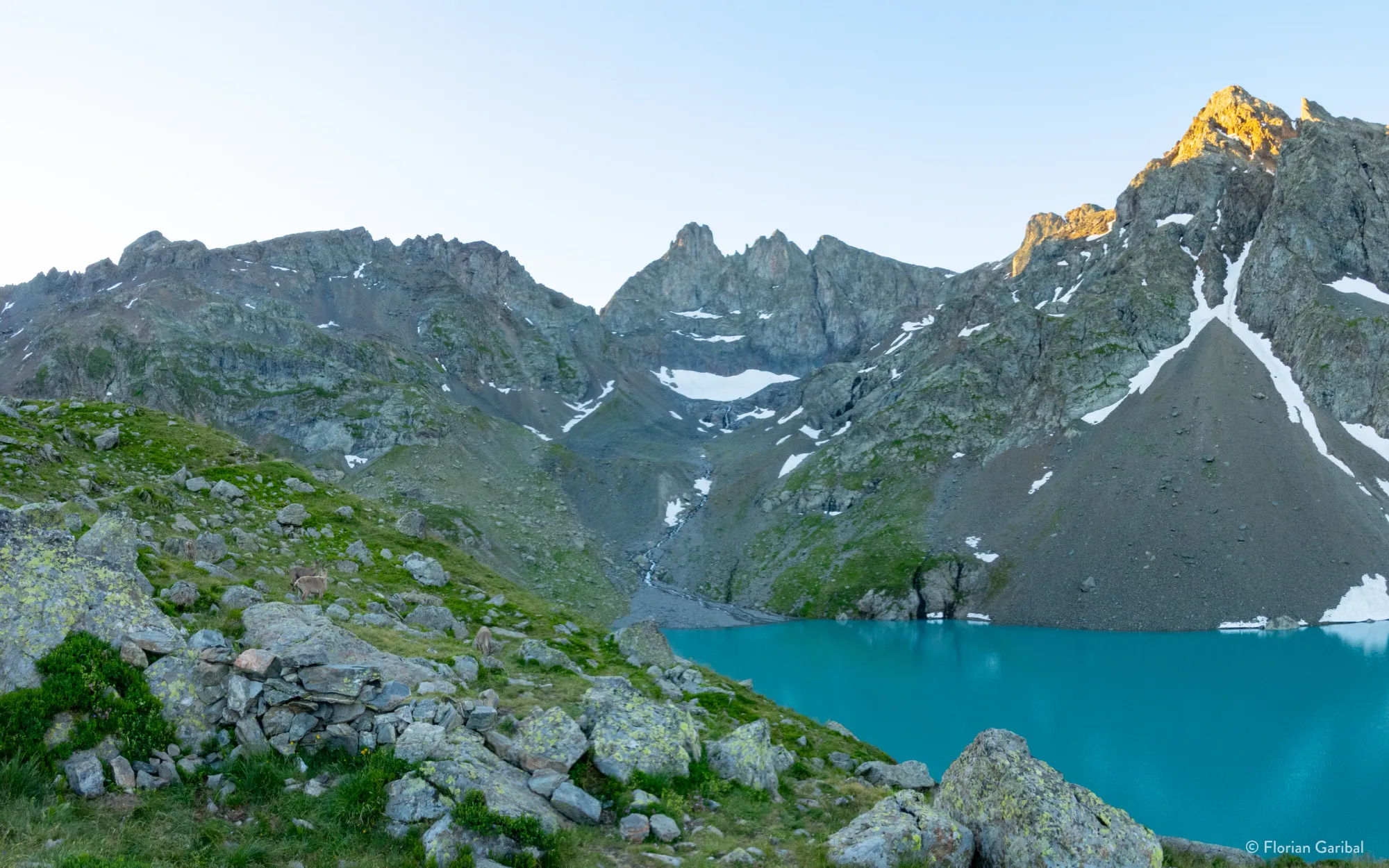 Lac blanc, 3 pics de Belledonne et bouquetins