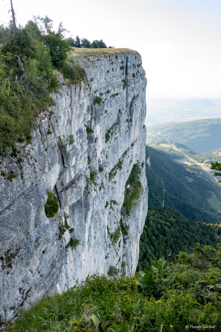 Falaise de la Sûre en Vercors